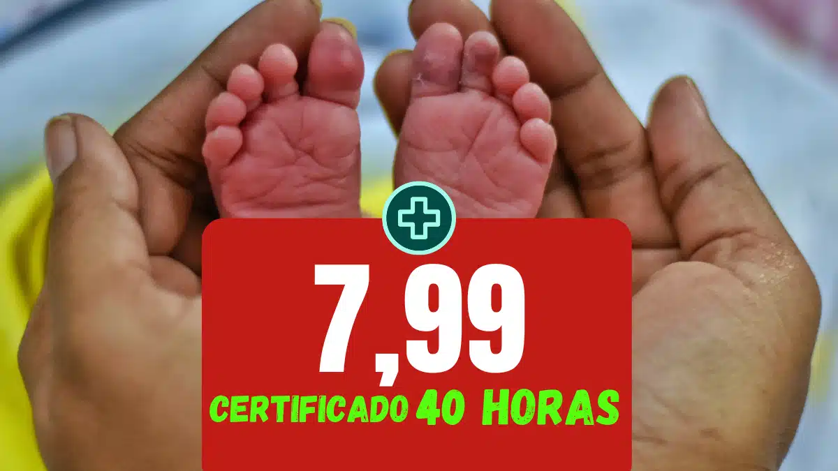 Enfermagem Neonatal Assistência ao Recém-Nascido de Alto Risco